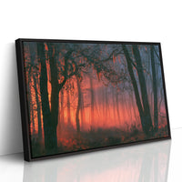 Forest Aglow In The Mist