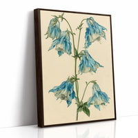 Nodding Blues: A Columbine Study