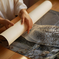 Arctic Wings Meet Winter Woods