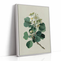 Ivory Blooms On Weathered Parchment