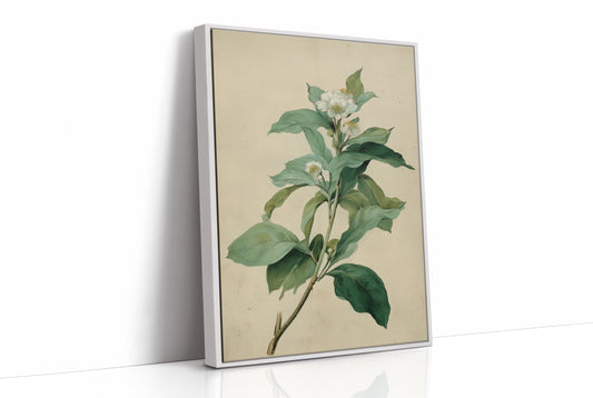 White Blossoms Hold Their Golden Hearts