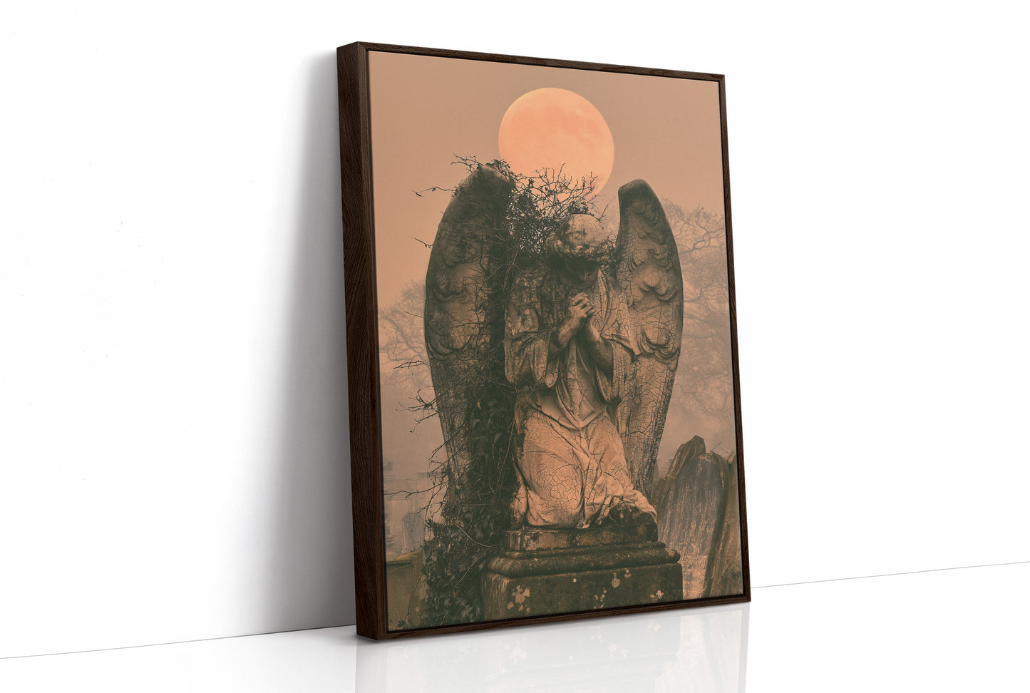The Weeping Angel's Vigil