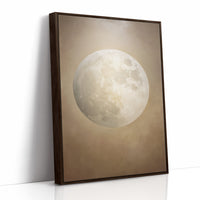 Moonlit Stories Rest Between Pages