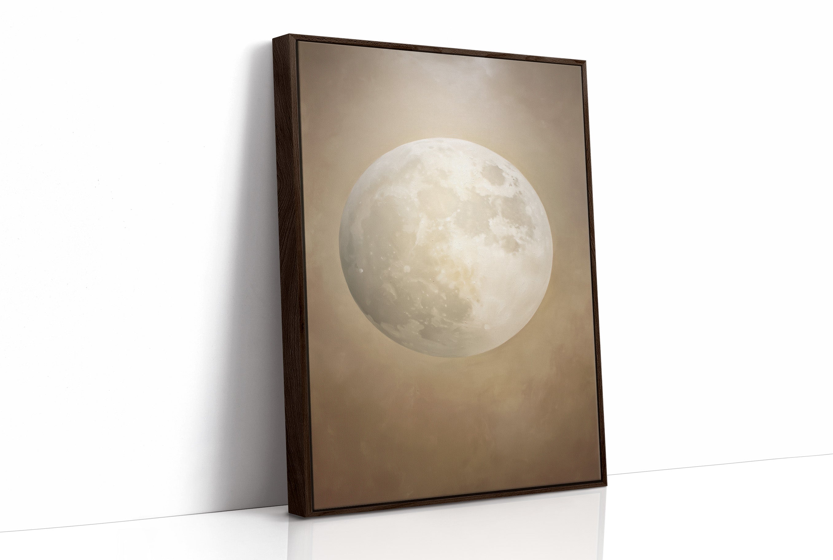 Moonlit Stories Rest Between Pages