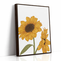 Golden Petals Greet Morning Sun