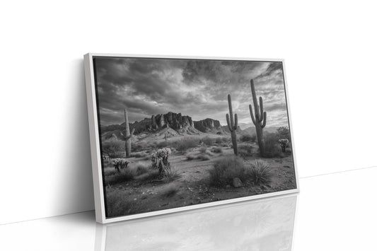 Saguaros Dance Under Storm Clouds