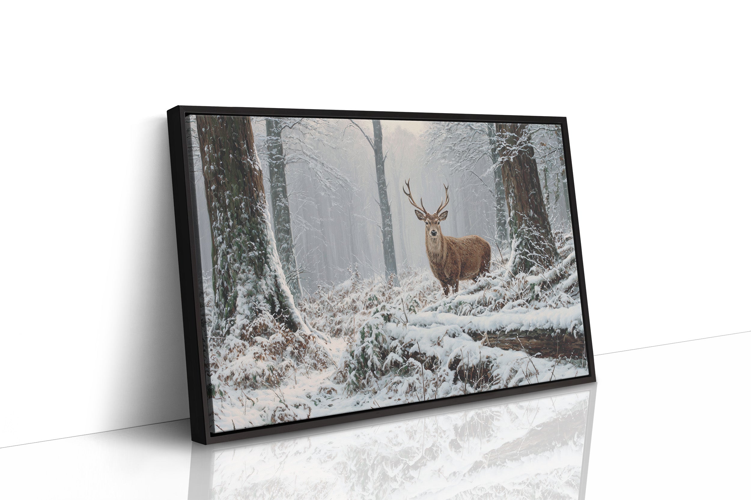 Winter Forest Holds Noble Secret