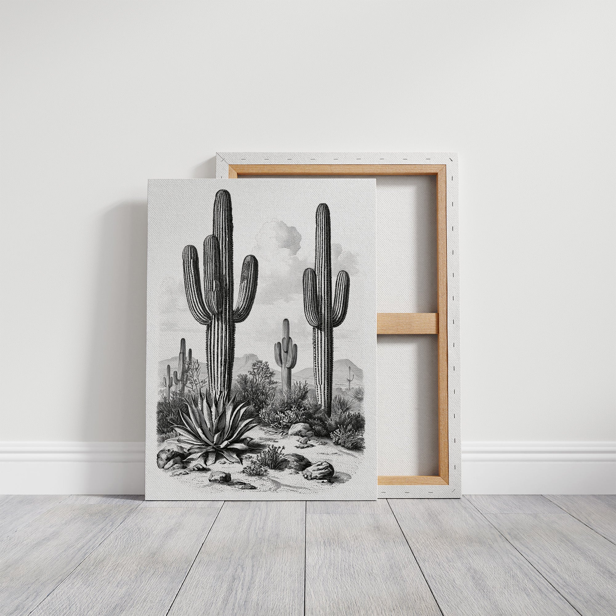 Desert Engraving With Agave