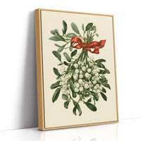Mistletoe, Tied in Red