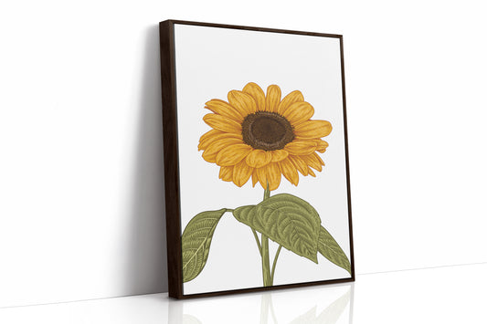 Golden Petals Sing Summer Songs