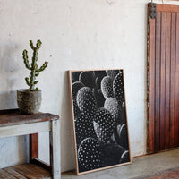 Desert Geometry in Monochrome
