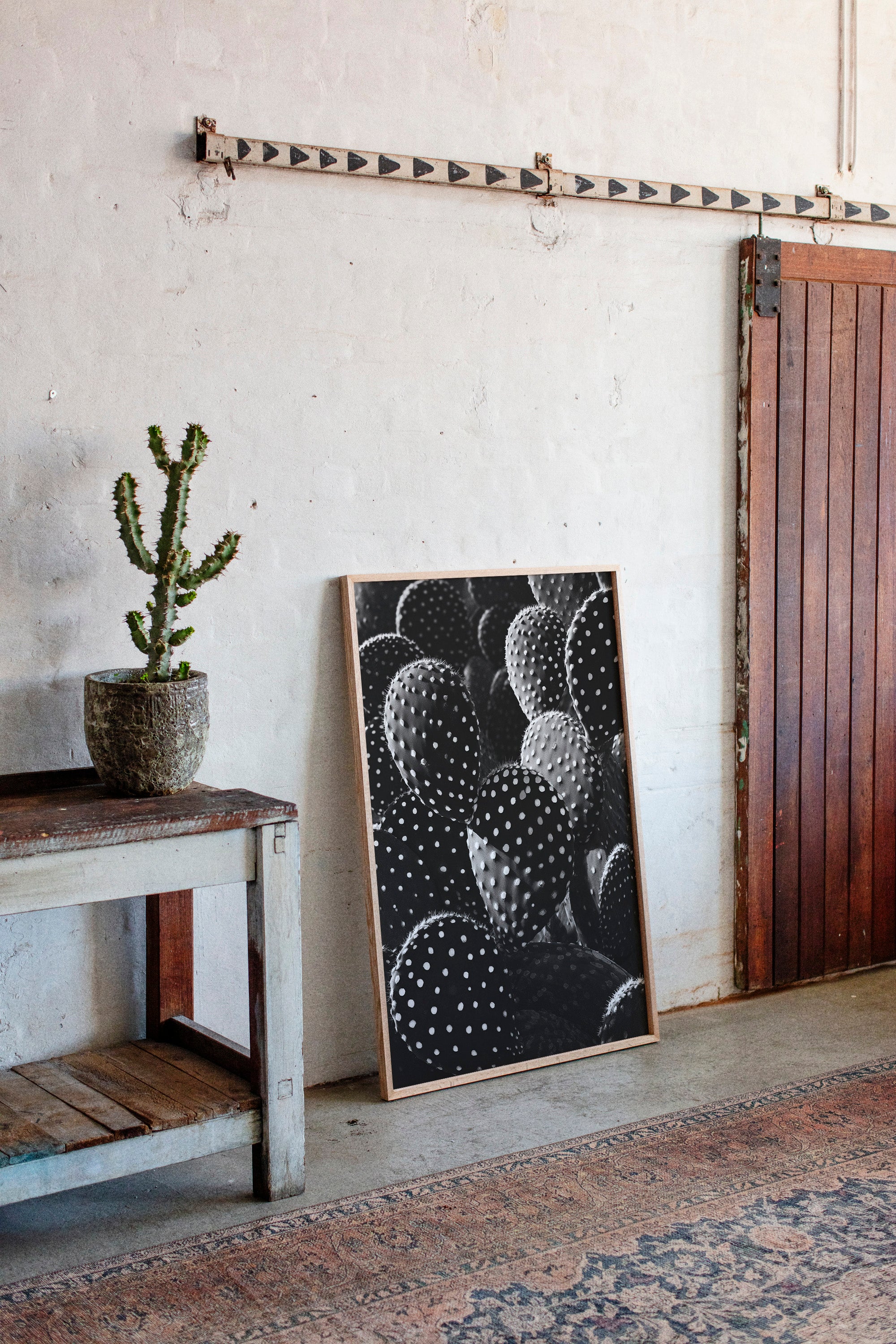 Desert Geometry in Monochrome