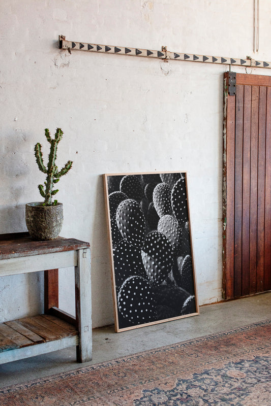 Desert Geometry in Monochrome