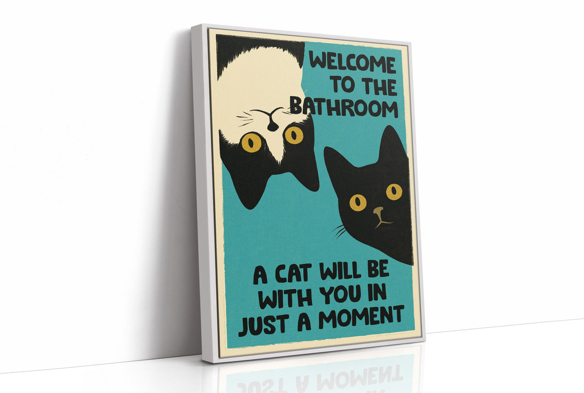 Two Cats, Zero Boundaries
