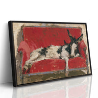 Donkey Takes the Couch