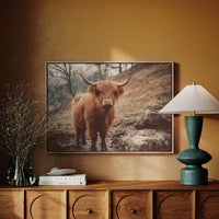 Highland Morning Mist And Stone