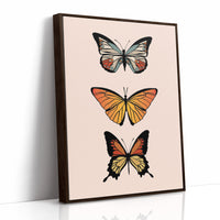 Three Wings Tell Summer Stories