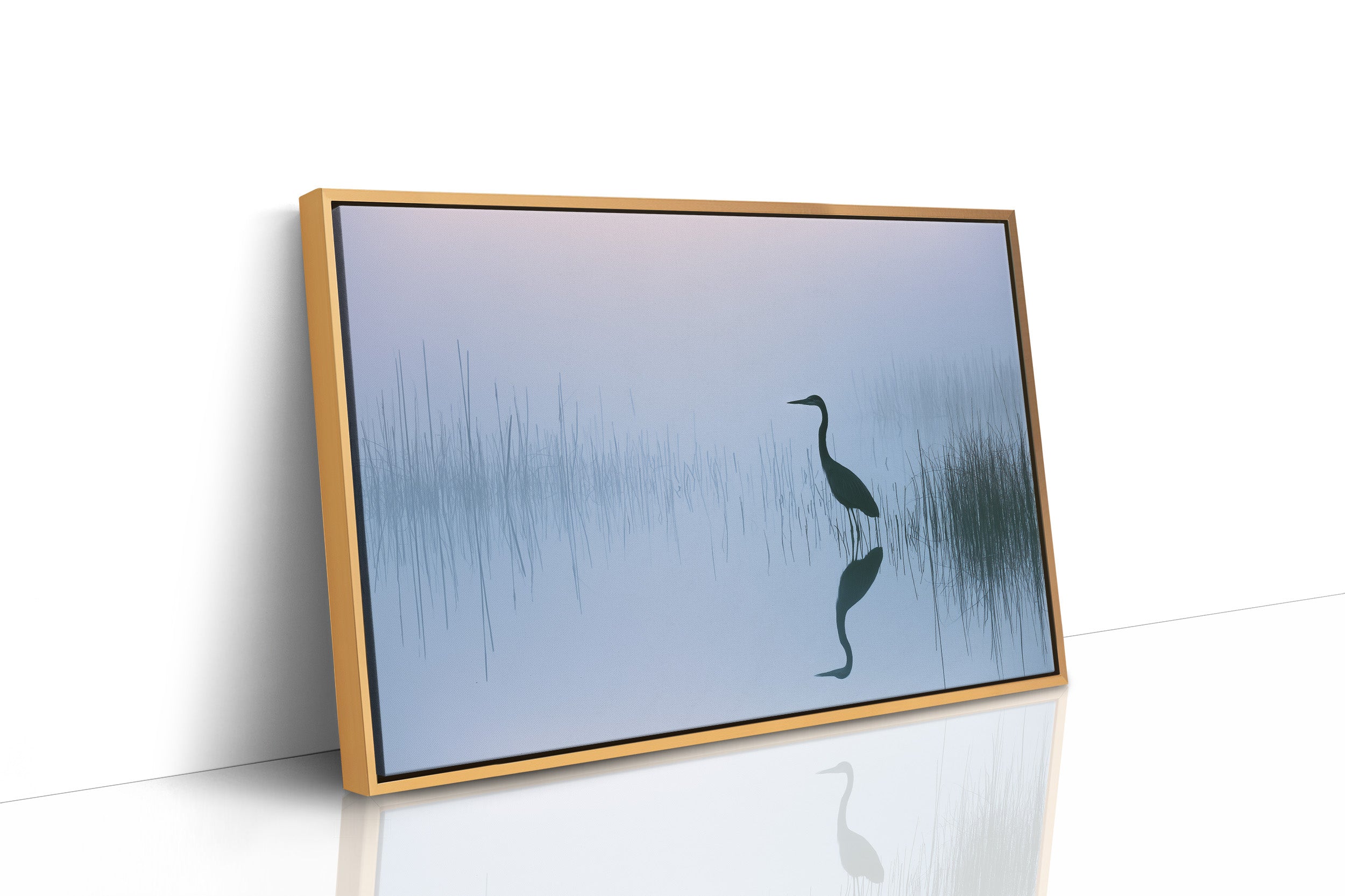 Stillness Before the Heron