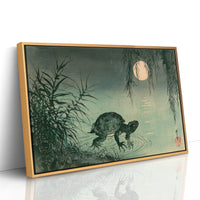 Turtle Beneath the Willow Moon