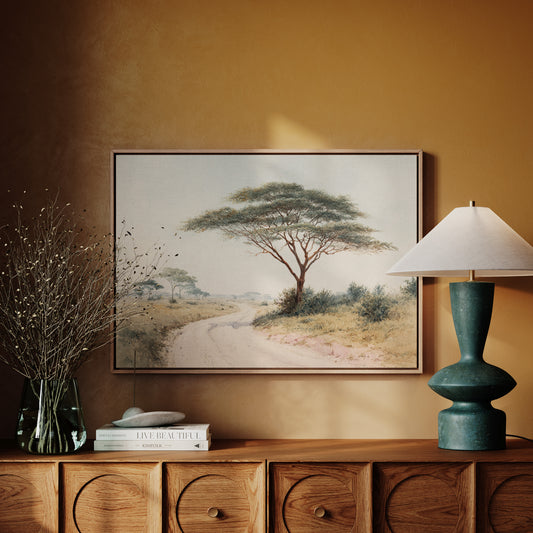 Acacia Bends Over Winding Path