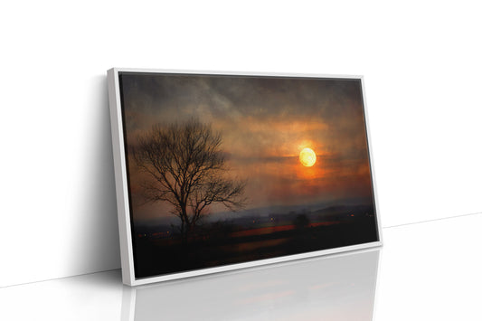 Lone Tree Awaits Amber Dawn