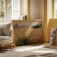 A Field Awash in Light
