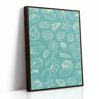 Seashells Draw Maps To Paradise