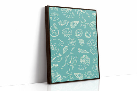 Seashells Draw Maps To Paradise