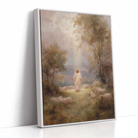 Light Breaks Through Ancient Meadows