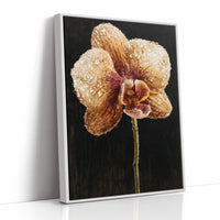 Orchid Stem in the Dark