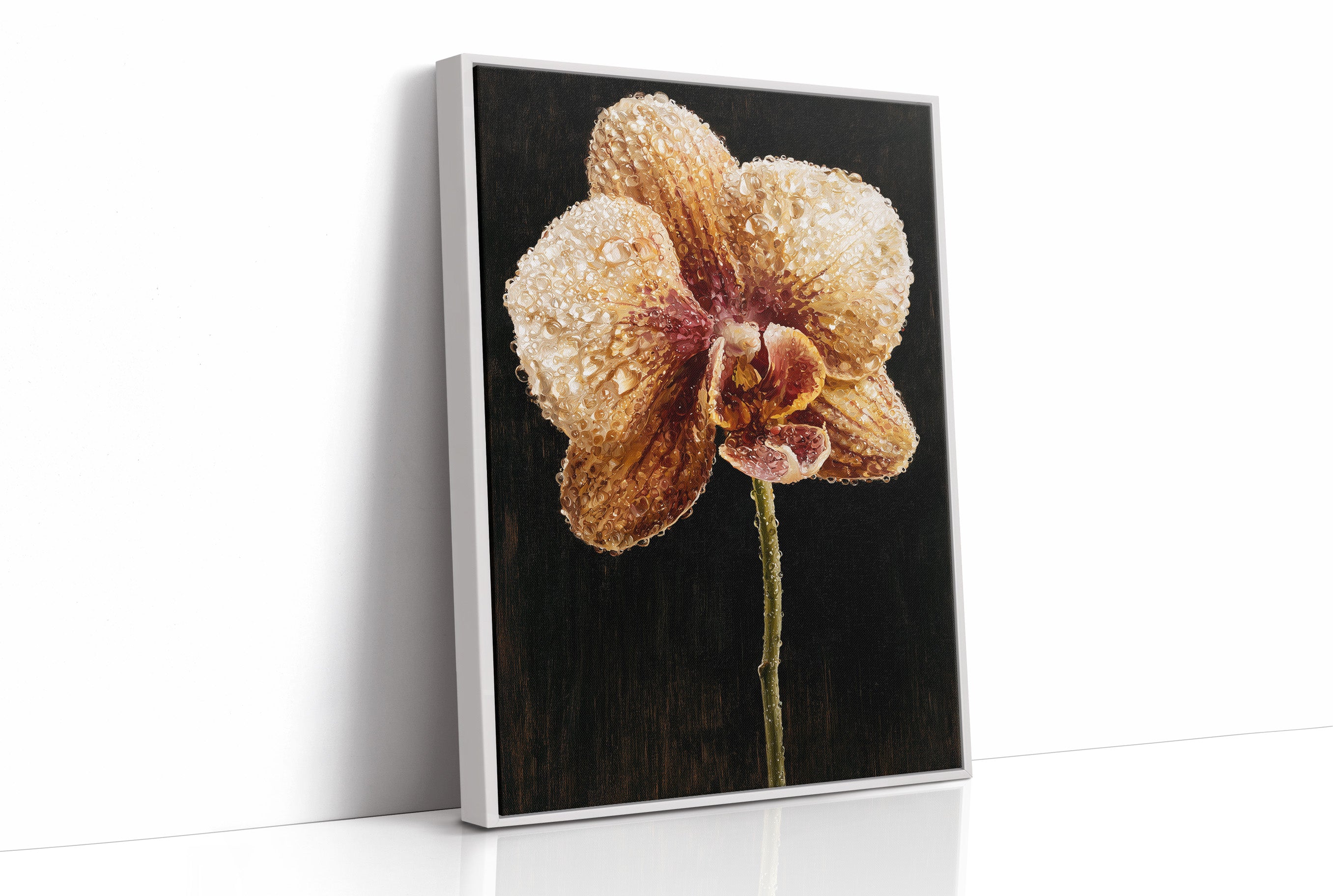 Orchid Stem in the Dark