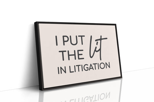 I Put The Lit In Litigation