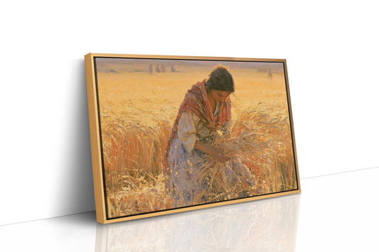Gathering Sheaves at Golden Hour