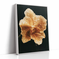 Petals Weeping Gold