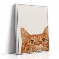 Orange Cat, Full Attention
