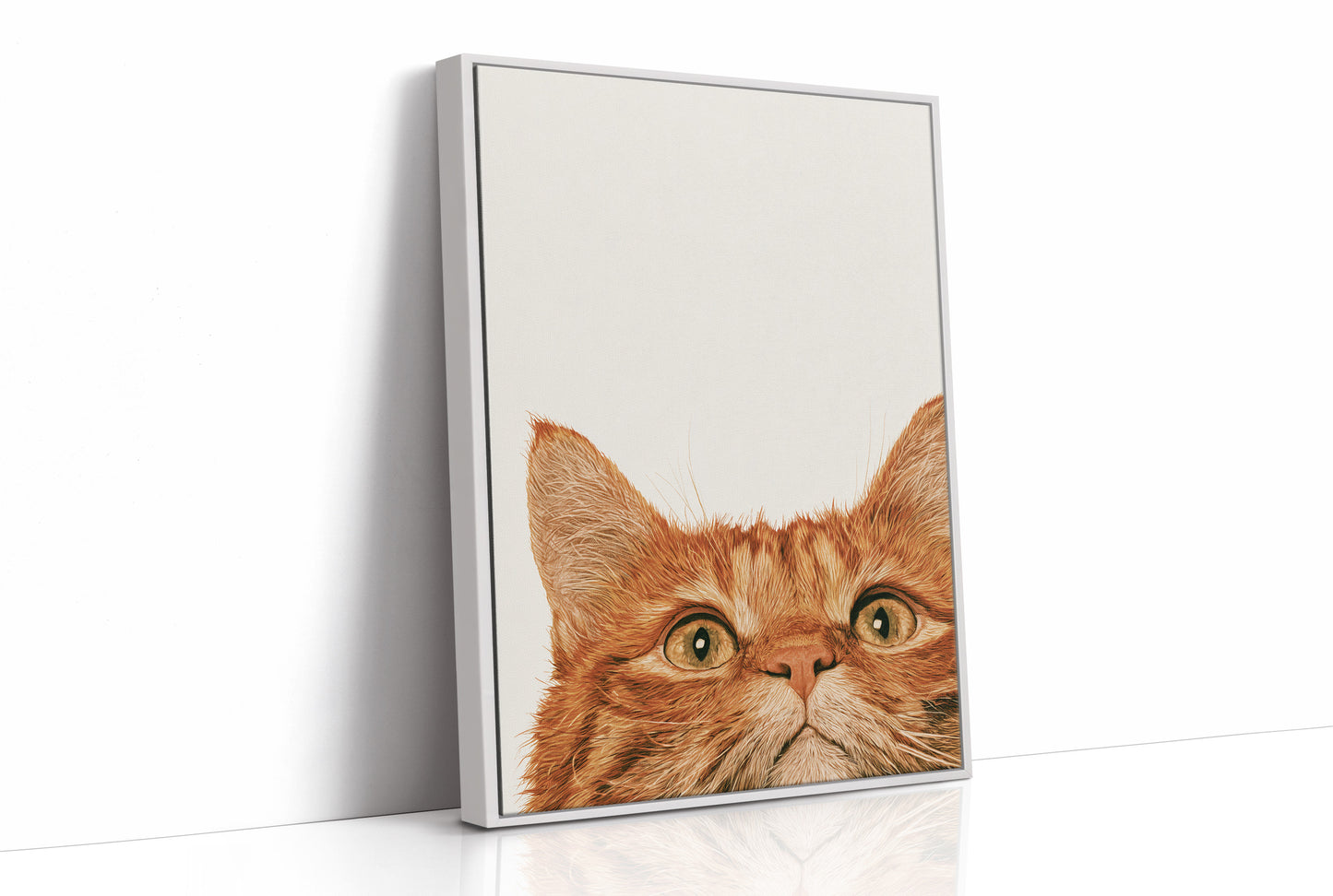 Orange Cat, Full Attention
