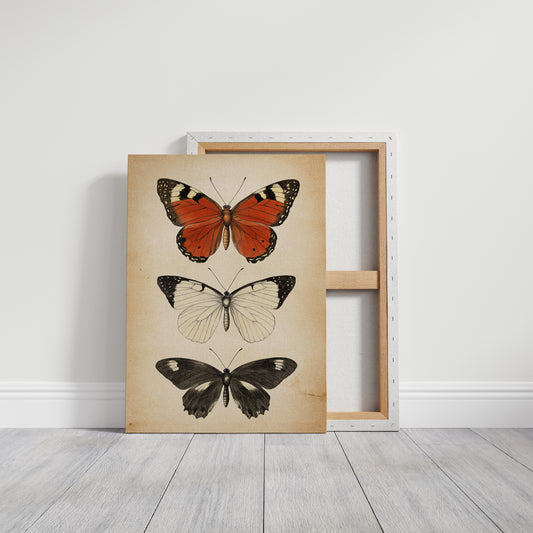 Flight Through Timeless Patterns