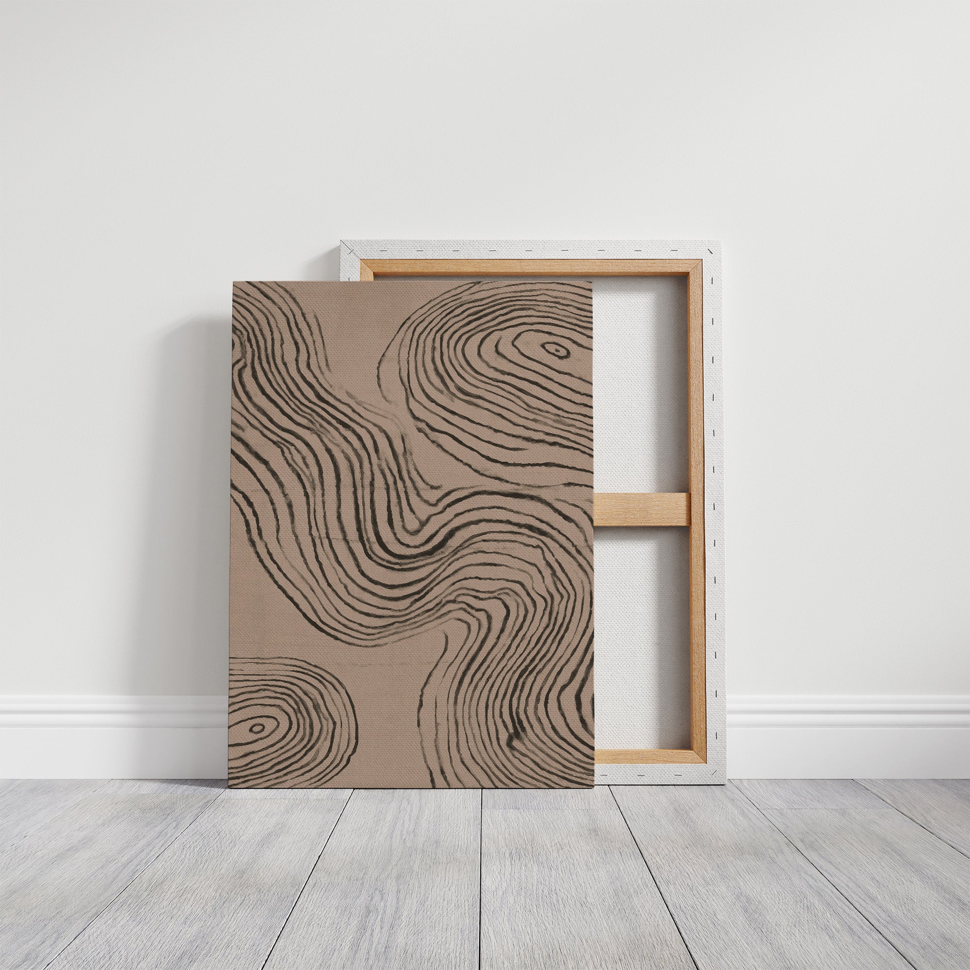 Time Rings Tell Nature's Story