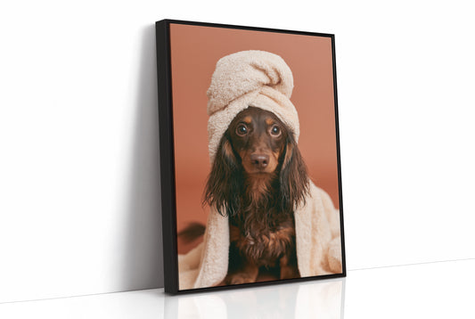 Dachshund Spa Day