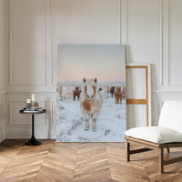 Fluffy Pony in Winter Herd