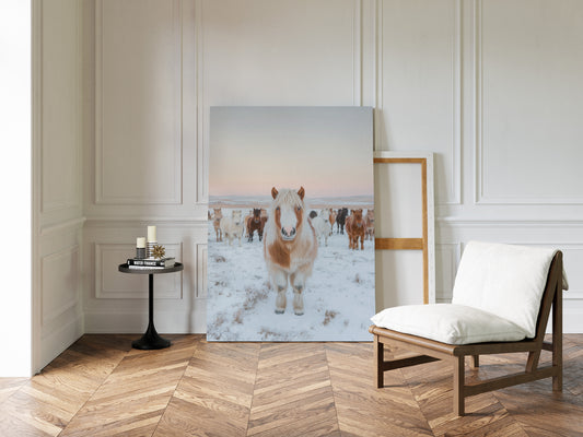 Fluffy Pony in Winter Herd