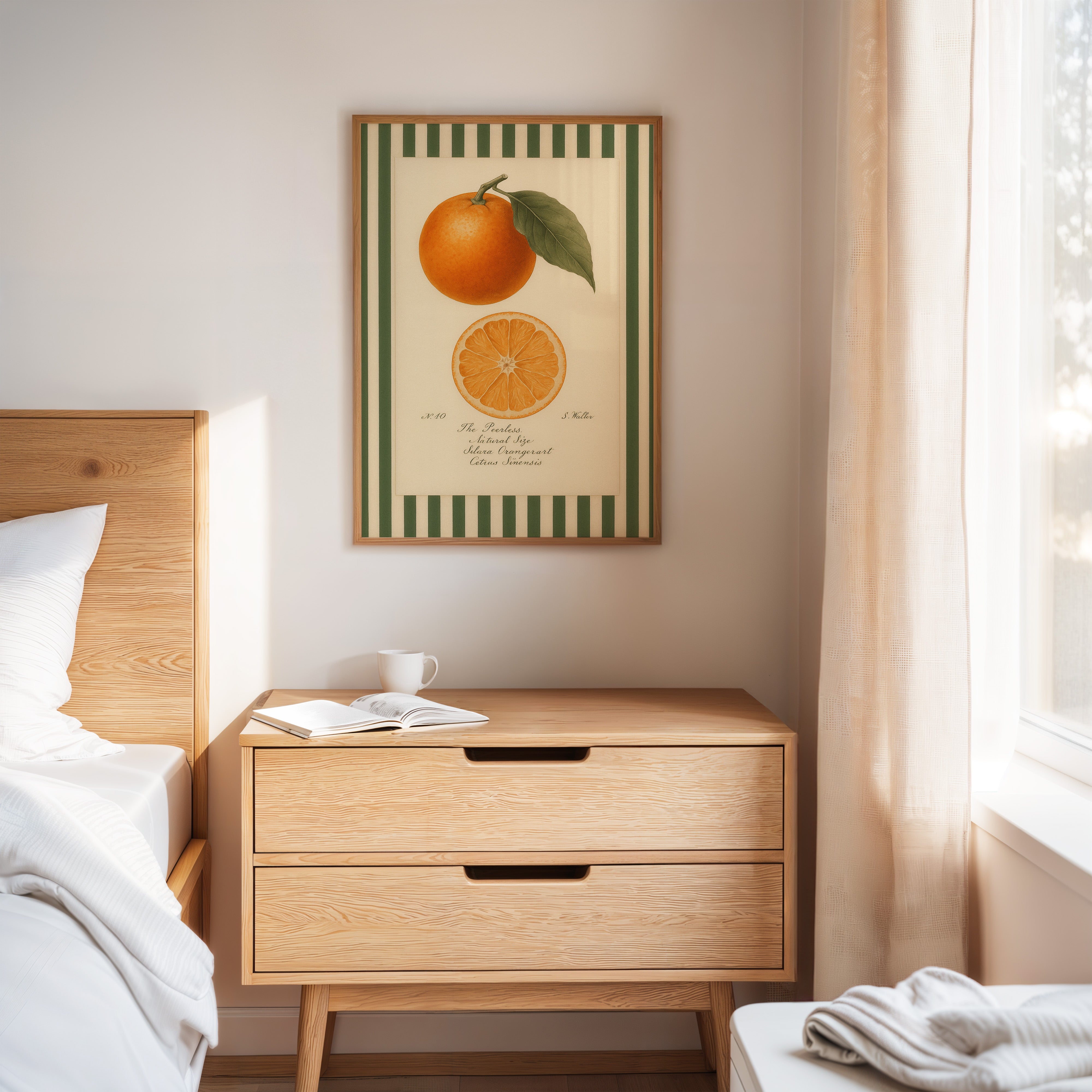 Vintage Orange Slice Botanical Study