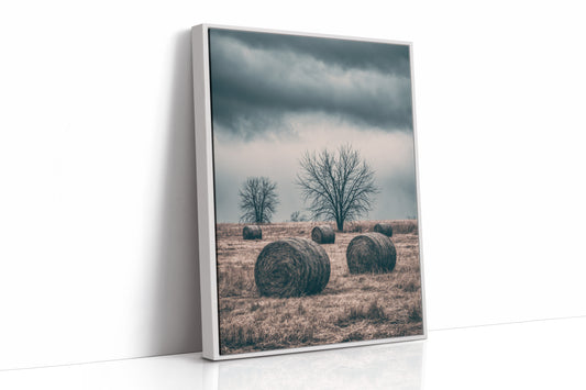 Heavy Sky Over the Hay Field