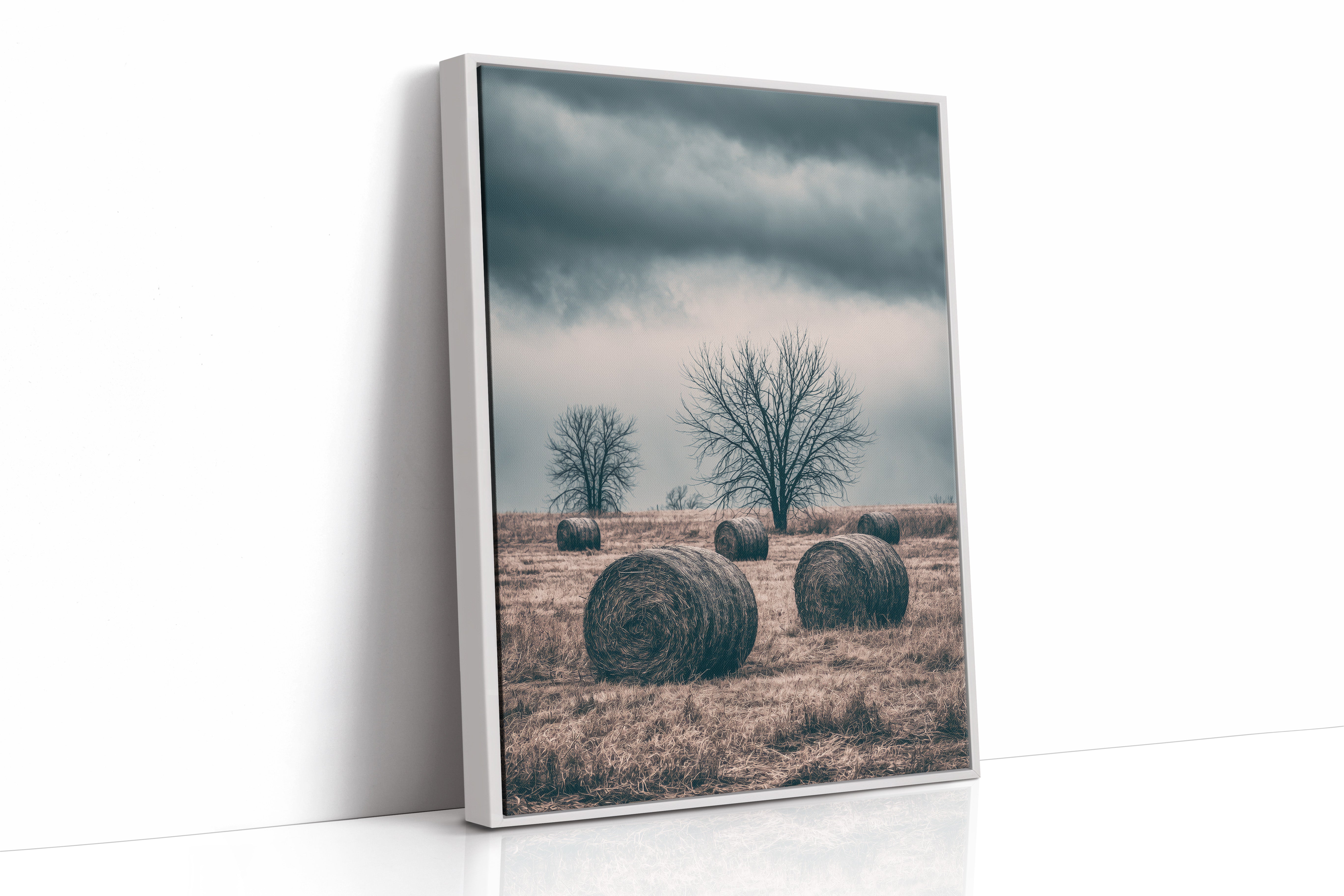 Heavy Sky Over the Hay Field