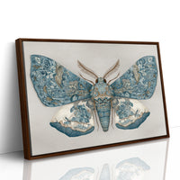 Azure Wings Among Leather Spines