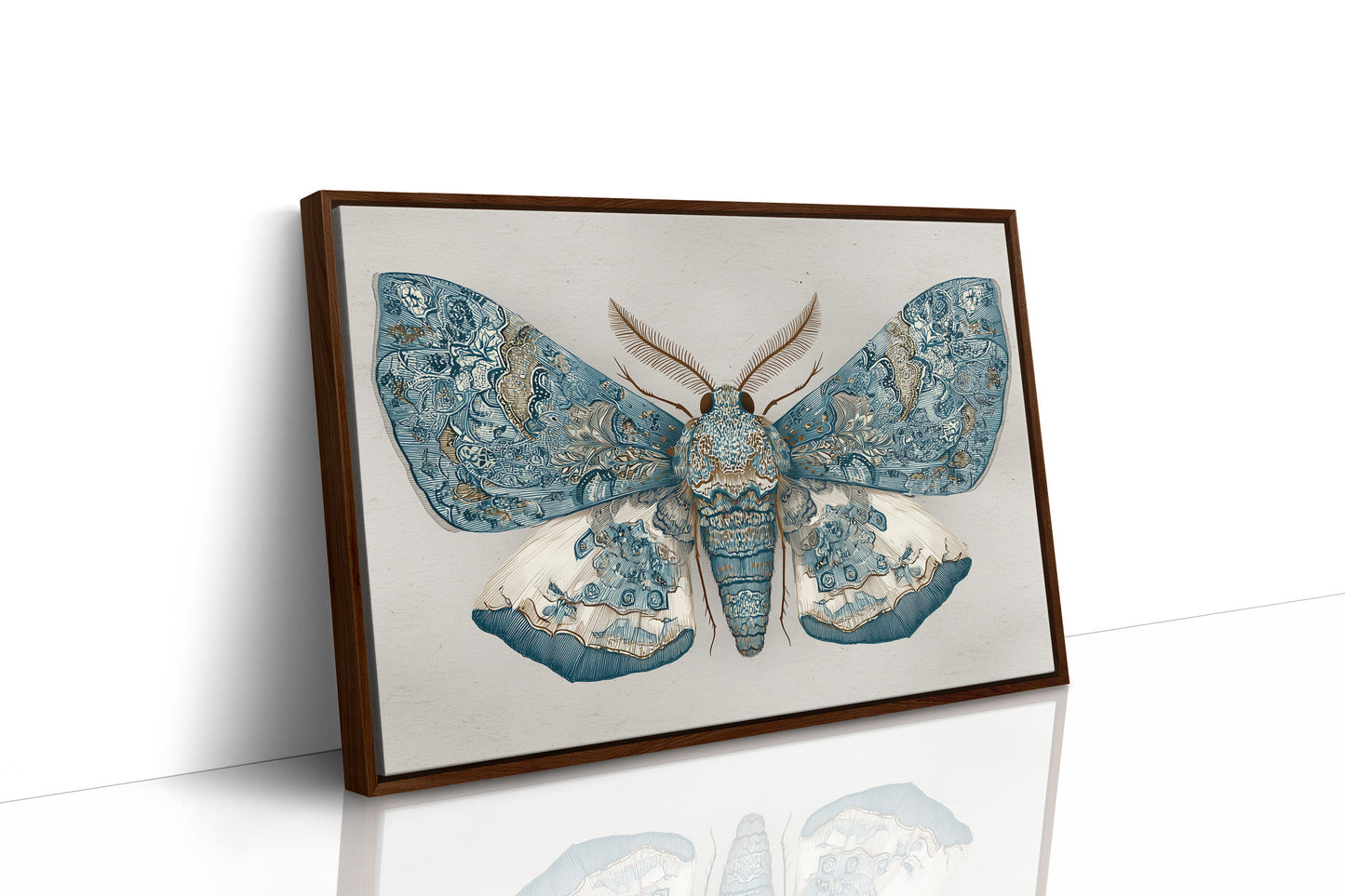 Azure Wings Among Leather Spines