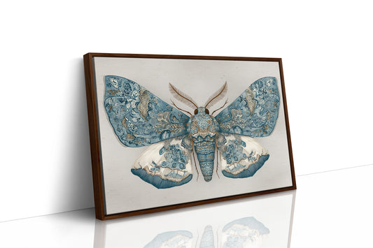 Azure Wings Among Leather Spines