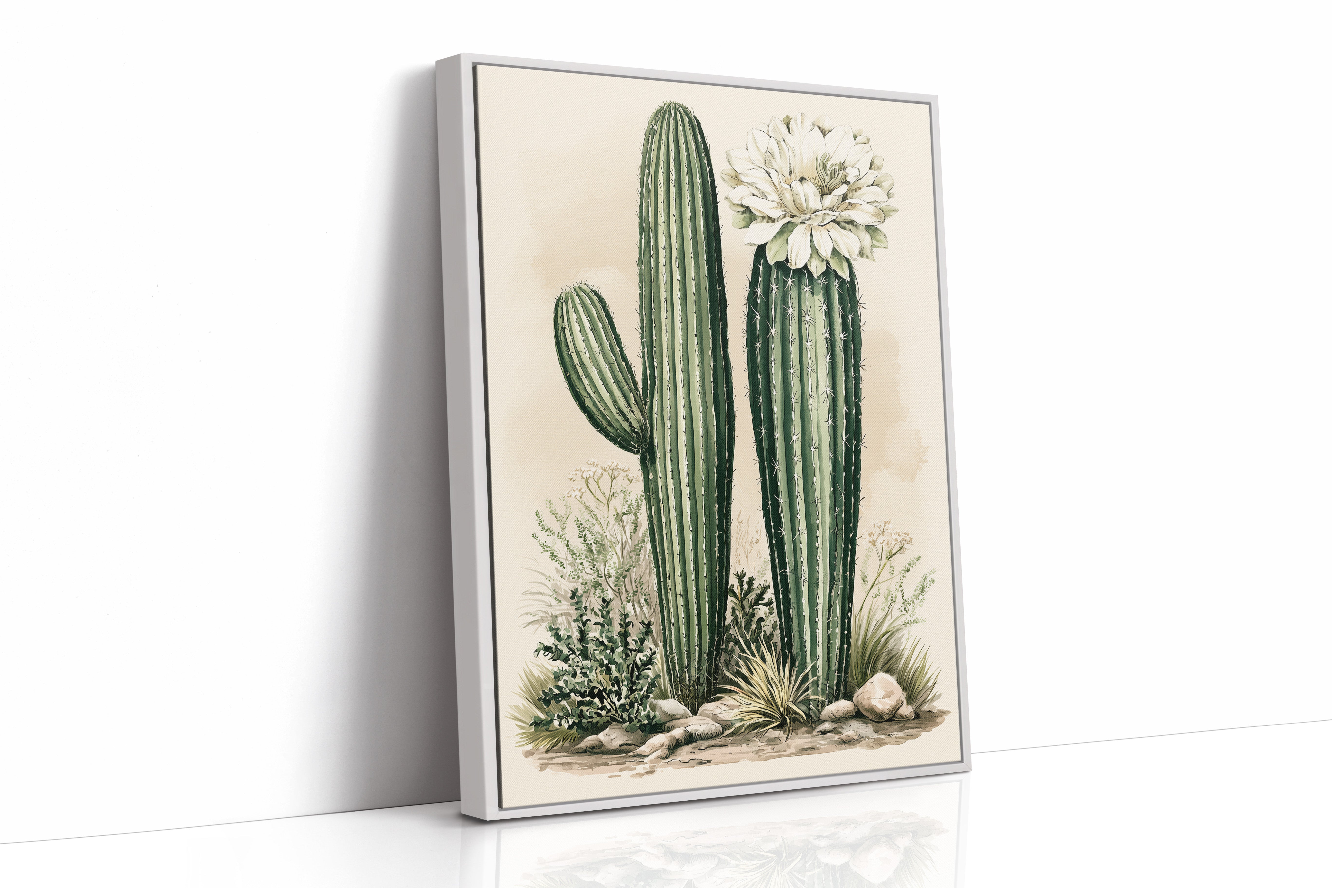 Blooming Saguaro: A Desert Garden Study