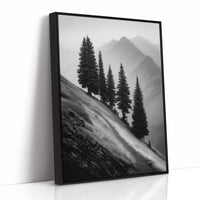 Windswept Timberline