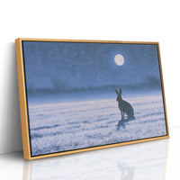 The Hare and the Full Moon